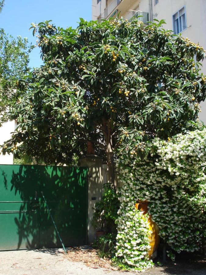 Appartement Casa Del Gelsomino E Del Nespolo
